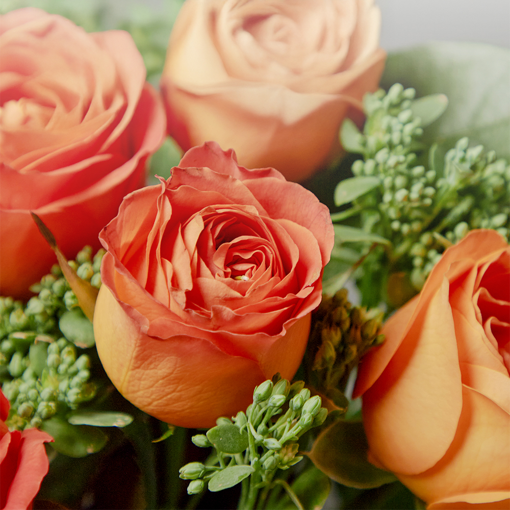 클라린스장미 클라란스 플라워 꽃다발 생화 꽃바구니 생일 기념일 발렌타인데이 전국꽃배달