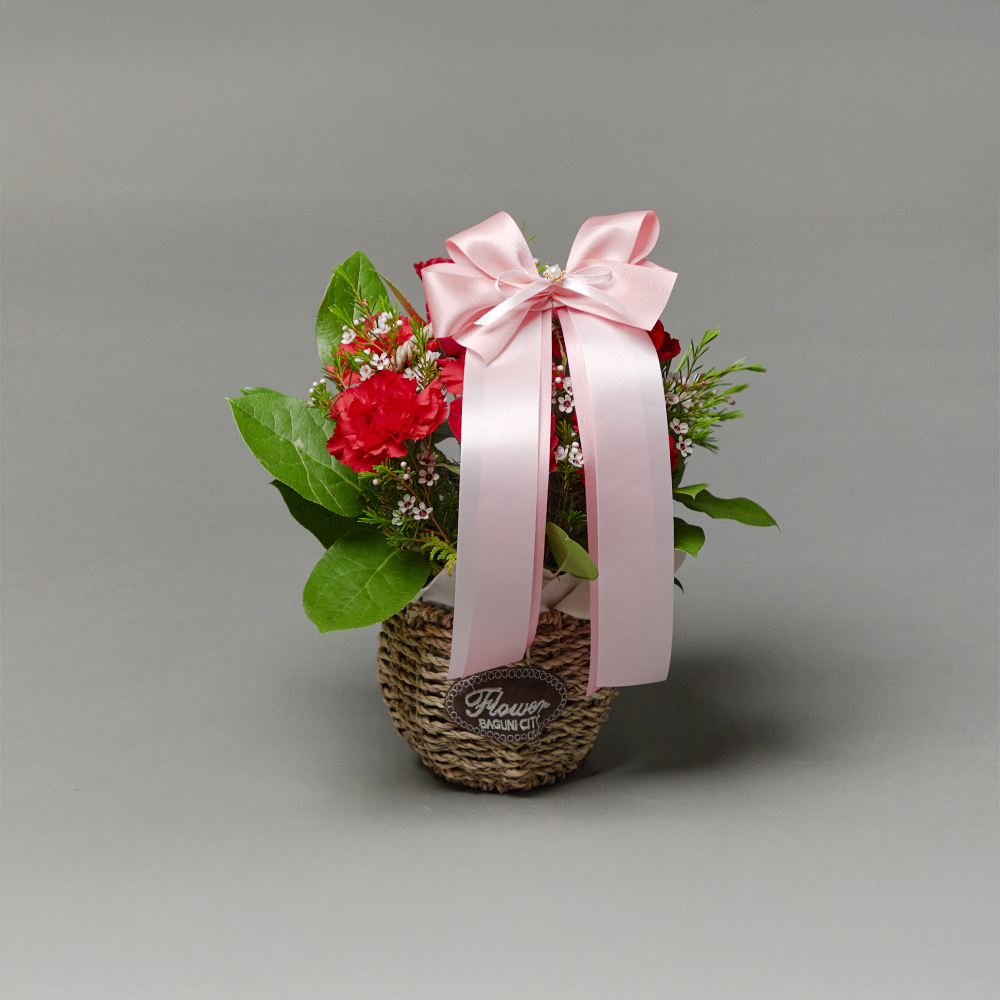 빨간 카네이션 레드 플라워 꽃바구니 생화 꽃다발 생일선물 어버이날 상견례 전국당일 꽃배달