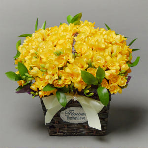 노란 프리지아 플로라 플라워 꽃다발 생화 꽃바구니 생일 기념일 발렌타인데... 솔직 후기 | 실사용자 리뷰 분석 - 상품 이미지 1