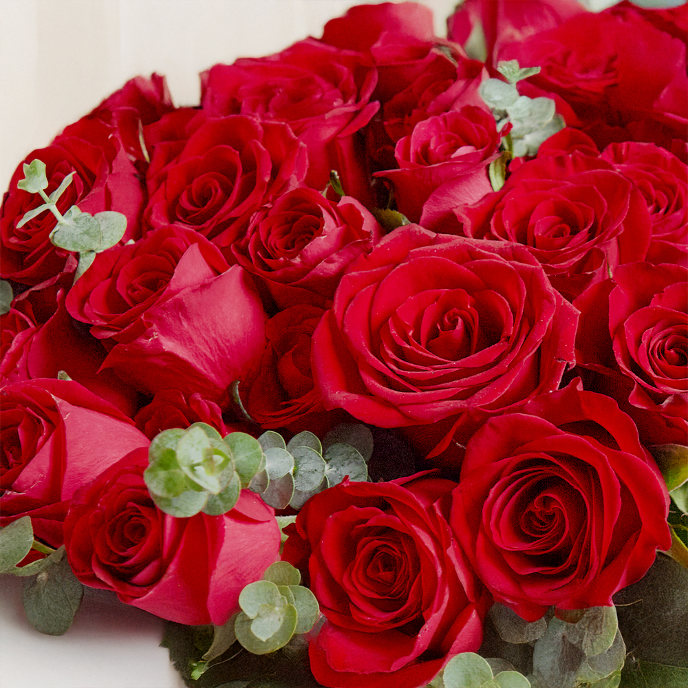 레드 장미 로즈 플라워 꽃다발 생화 꽃바구니 생일 기념일 발렌타인데이 꽃배달 꽃배송서비스