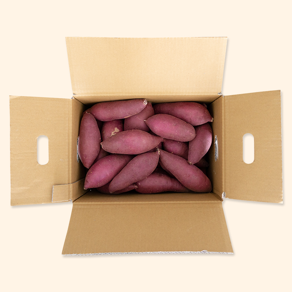 굿스푼 25년 햇고구마 해남 숙성 세척 꿀고구마 무농약 베니하루카 한입 3kg - 상세 이미지 5