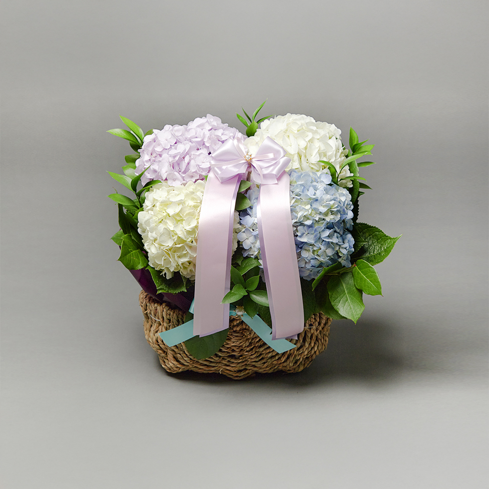 수국 혼합 플라워 꽃다발 생화 꽃바구니 생일 기념일 발렌타인데이 꽃배달 꽃배송서비스