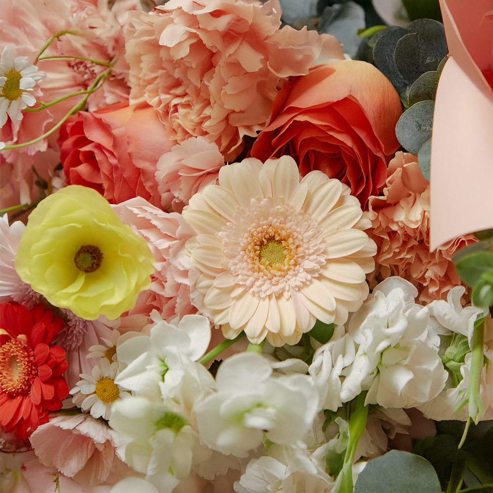 클라린스장미 클라란스 꽃다발 생화 꽃바구니 생일 기념일 발렌타인데이 꽃배달 꽃배송서비스