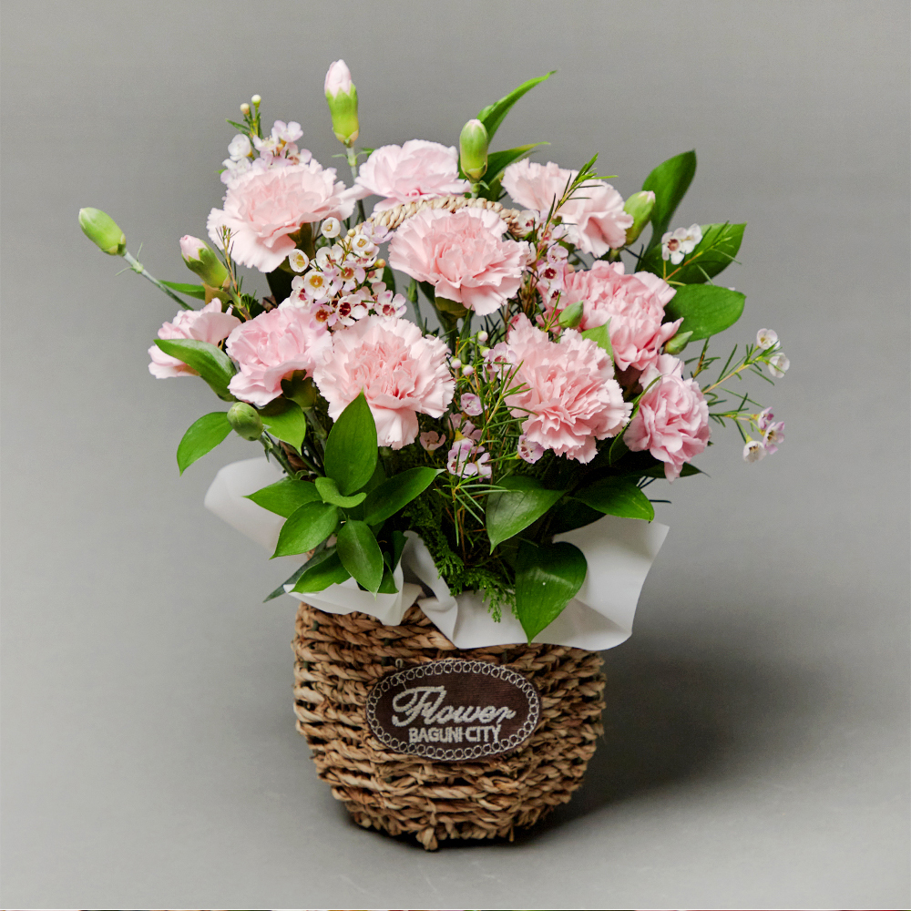 핑크 카네이션 플라워 꽃바구니 생화 꽃다발 생일선물 기념일 어버이날 상견례 전국당일 꽃배달