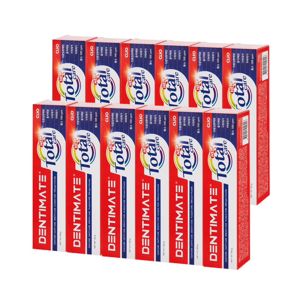 덴티메이트 뉴 토탈케어 온가족 올인원 불소 치약 솔향 민트향 150g 대용량