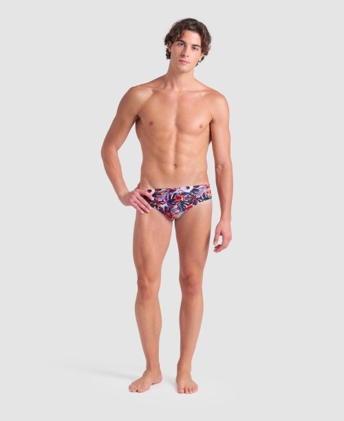 아레나 Belize Swimming Brief - 메인 이미지