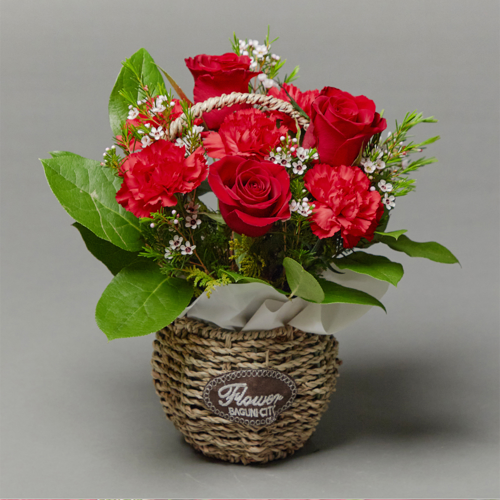 빨간 카네이션 레드 플라워 꽃바구니 생화 꽃다발 생일선물 어버이날 상견례 전국당일 꽃배달