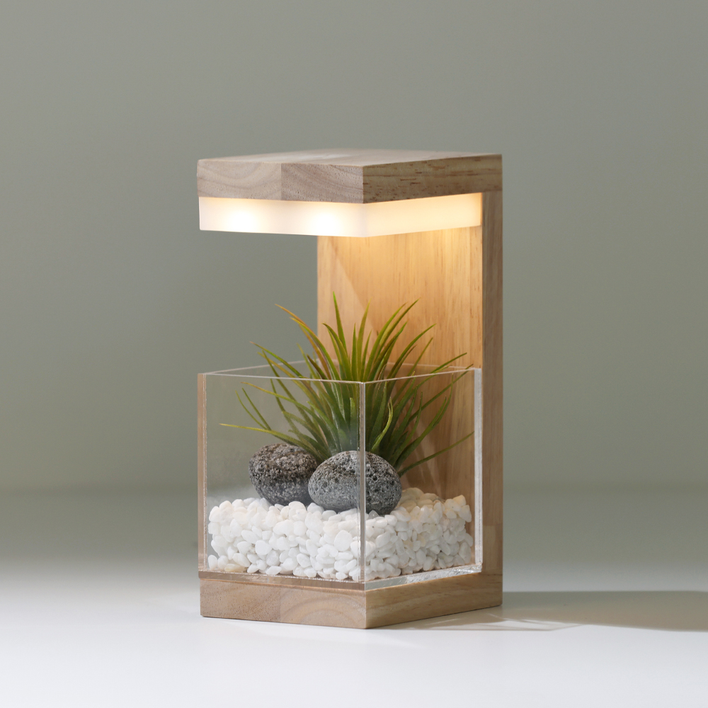 원목 플랜테리어 식물 LED 무선 무드등 집들이선물 네추럴베이지 이오난사기본