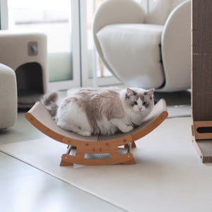 아토주 유라인 고양이 다기능 스크래쳐 소형 2 in 1 고정모드 흔들모드 솔직 후기 | 실제 사용자 리뷰 총정리 - 상품 이미지 3