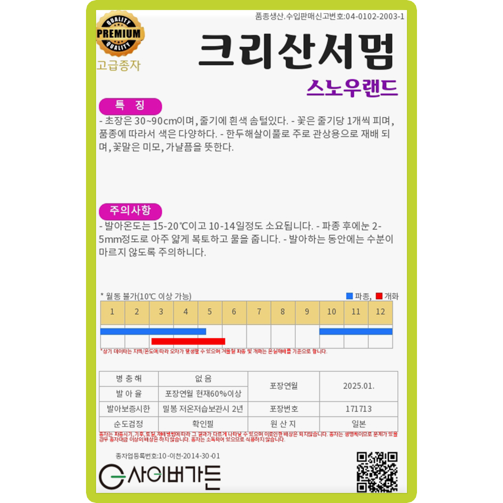 KS종묘 크리산서멈 꽃 씨앗 20립 스노우랜드 국화과 다년생 크리산세멈 꽃씨 종자 : 양동씨앗마켓