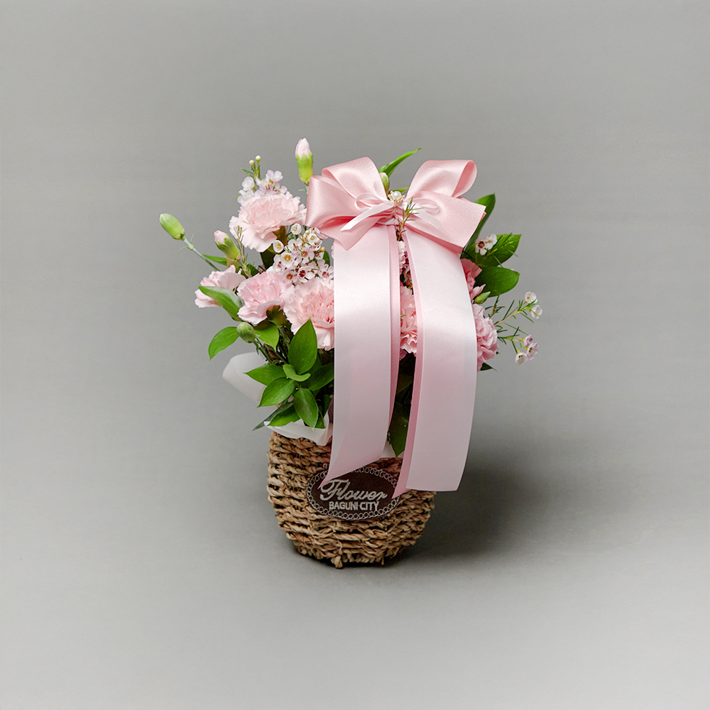 핑크 카네이션 플라워 꽃바구니 생화 꽃다발 생일선물 기념일 어버이날 상견례 전국당일 꽃배달