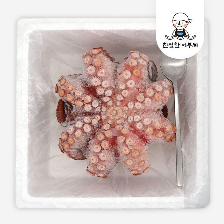통영 자연산 돌문어 자숙 냉동 활 문어 숙회 친절한어부씨 - 상세 이미지 3