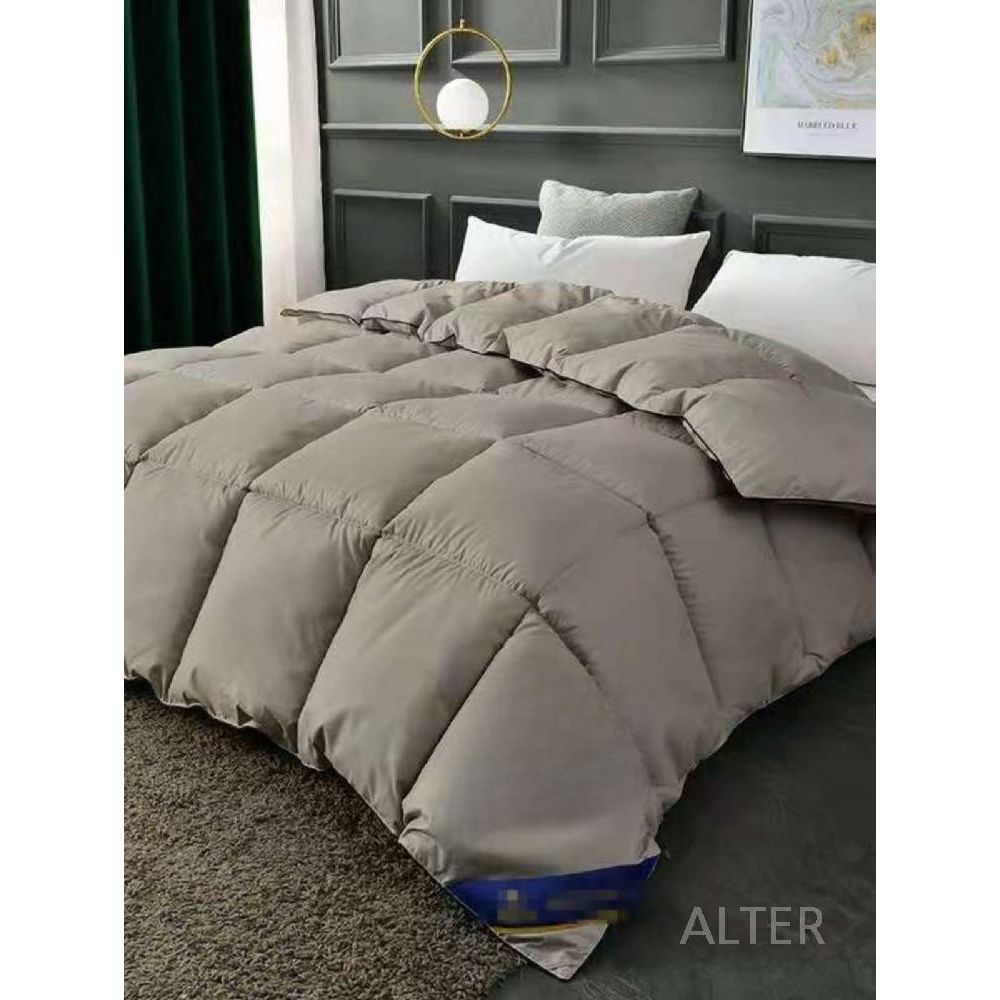 가벼운 오리털 이불 5성급 최상급 침구 거위털 성급 따듯 그레이 200x230cm 2kg