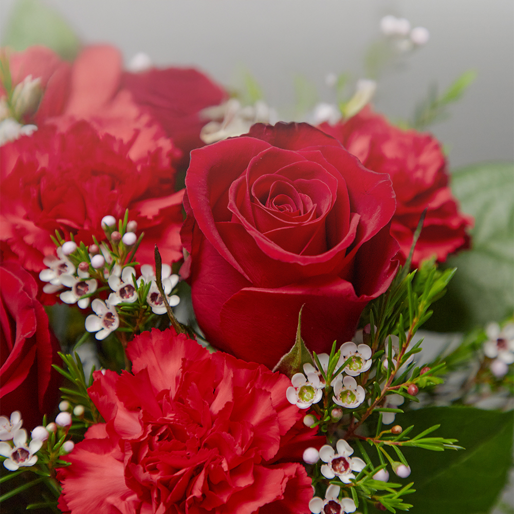 빨간 카네이션 레드 플라워 꽃바구니 생화 꽃다발 생일선물 어버이날 상견례 전국당일 꽃배달