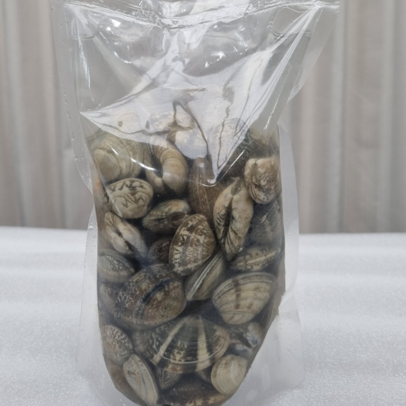 해감 조개 왕 백상합 동죽 참바지락 활바지락 1kg - 상세 이미지 5