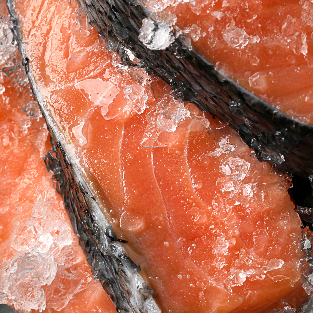 치밀 덴마크 페로제도 연어 500g 이미지 3