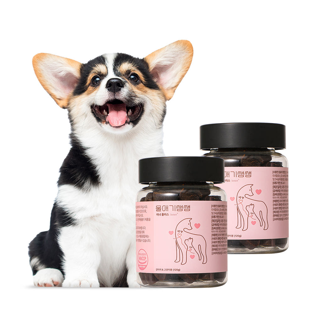 울애기쌩쌩 이너플러스 디어랩스 강아지켁켁거림 기관지 심장 신장 간 영양제 120g, 2개