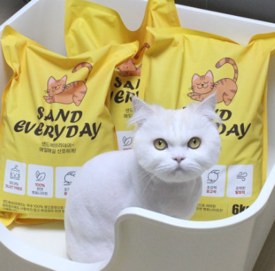 샌드에브리데이 먼지없는 응고형 벤토나이트 고양이모래 무향, 6kg, 3개 이미지 4
