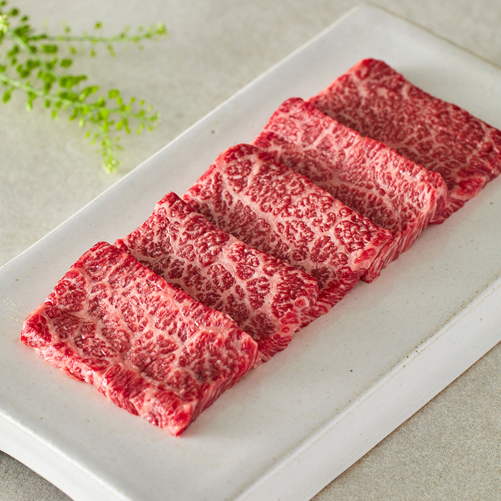 ++1등급 한우 소고기 꽃등심 갈비살 안심 채끝 투뿔 골라담기 구이용 세트