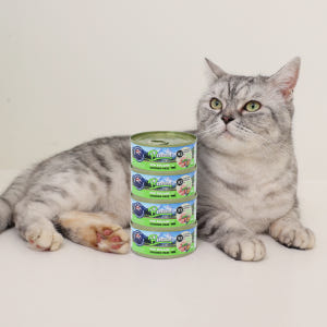 브리젠 뉴질랜드산 전연령 고양이 주식캔 습식사료 파테 치킨, 80g, 4... 솔직 후기 | 실제 사용자 리뷰 총정리 - 상품 이미지 1