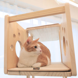 캣츠빌 아쭈타워 5층 스크래쳐 캣폴 원목 고양이 캣타워 발판구성 솔직 후기 | 실제 사용자 리뷰 총정리 - 상품 이미지 3