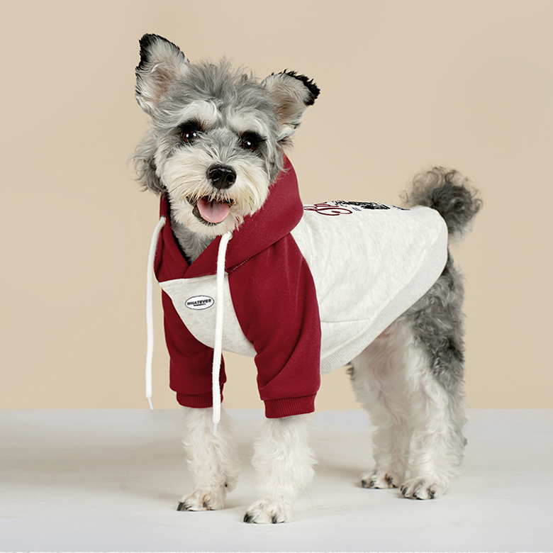 개과천선 모이클 기모 강아지 후드티 고양이 겨울옷 다이마루 원단 대형견