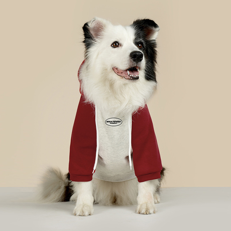 개과천선 모이클 기모 강아지 후드티 고양이 겨울옷 다이마루 원단 대형견