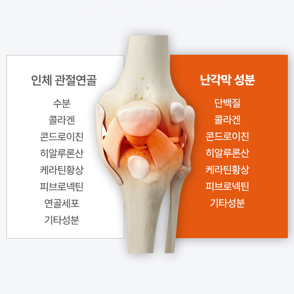 광동 난각막 가수분해물 뮤코다당단백 60정 종근당 젤리 광동 제조 1개월 - 상세 이미지 5