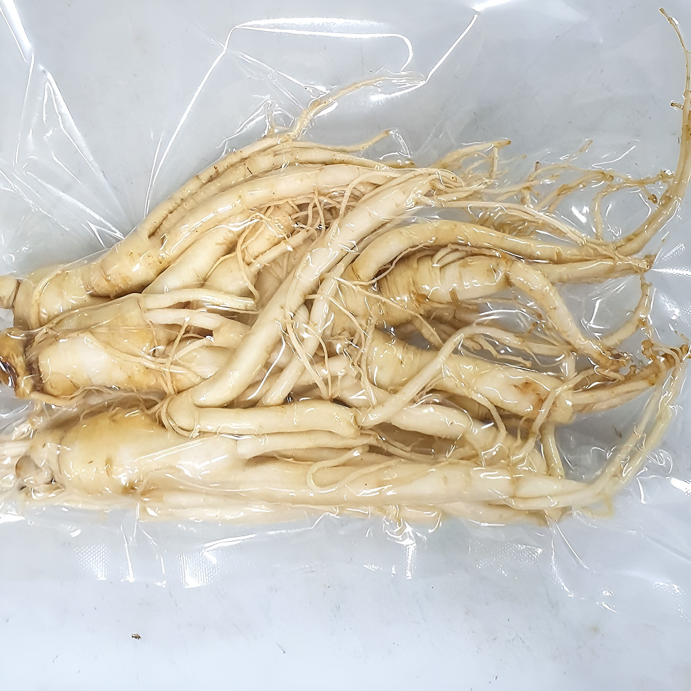 금산수삼시장 오쿠홍삼용 인삼 세척파삼 300g - 상품 이미지