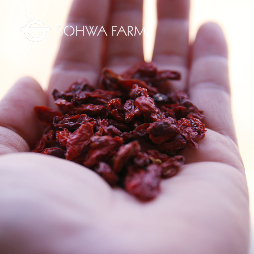 국산 구기자 100g 구기자차