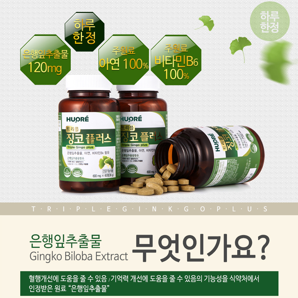 은행잎추출물 트리플 징코플러스 혈액순환 60정, 5개 이미지 8