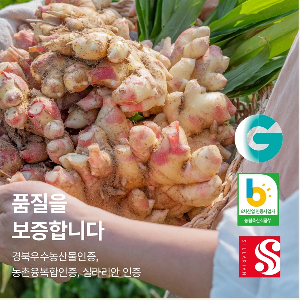 생강청 생강차 스틱 물한방울없는 수제 안동 원액 농부창고 이미지 8