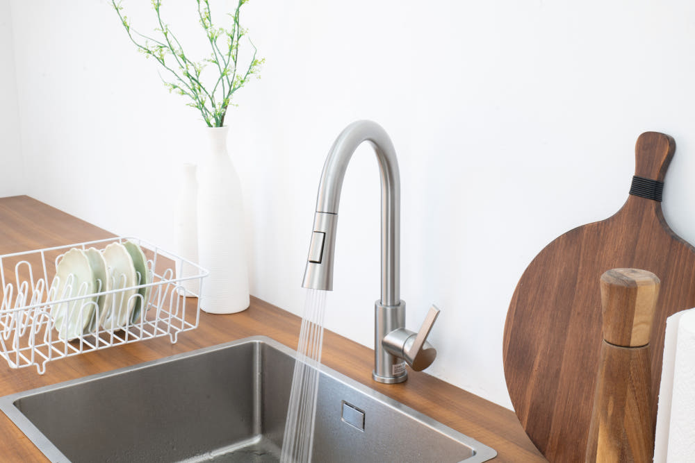 거위목수전 무광 니켈