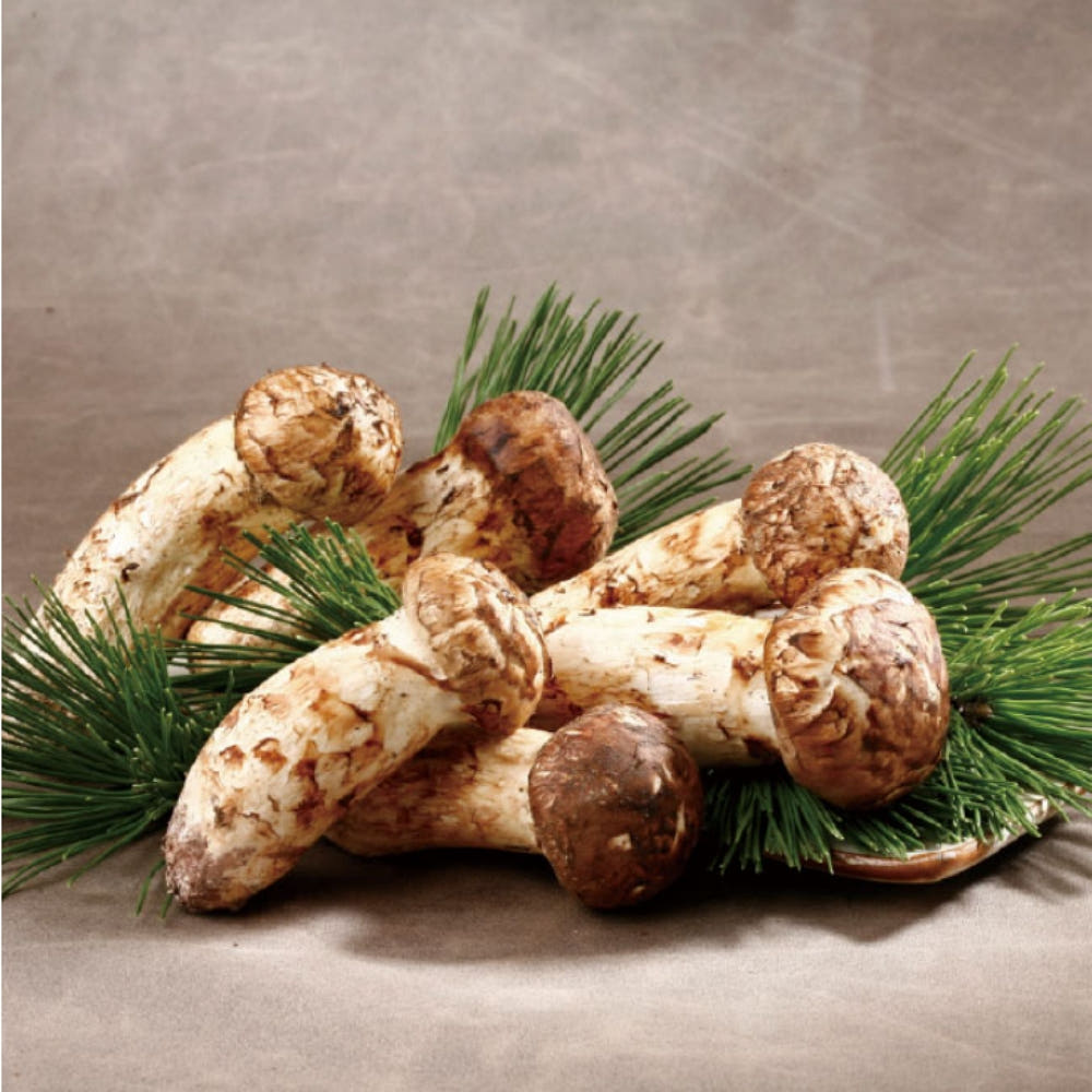 송이 선물세트 이미지 2