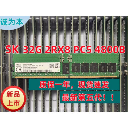 삼성 SK 마이크론 16G 32G 64G DDR5 4800 5600 REG ECC 서버 메모리 RDIMM