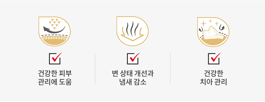로얄캐닌 독 시츄 어덜트, 1.5kg, 1개 - 상세 이미지 4