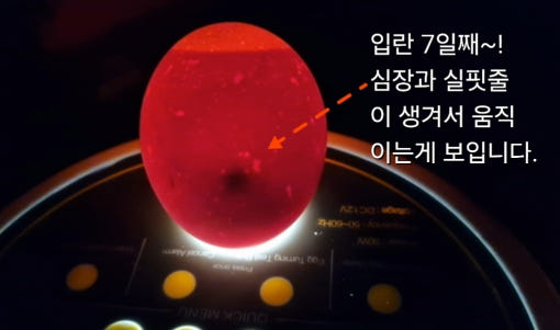 thumbnail-8