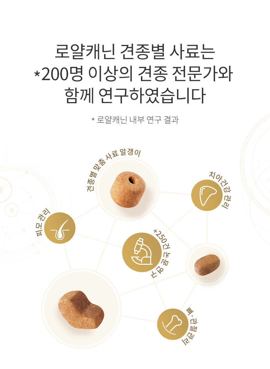 로얄캐닌 독 시츄 어덜트, 1.5kg, 1개 - 상세 이미지 5