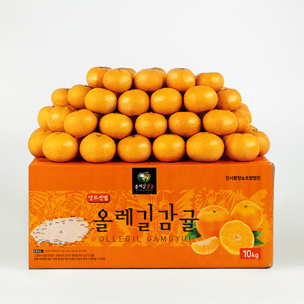 대용량 서귀포 노지 하우스 감귤 5KG 9KG 시즌행사