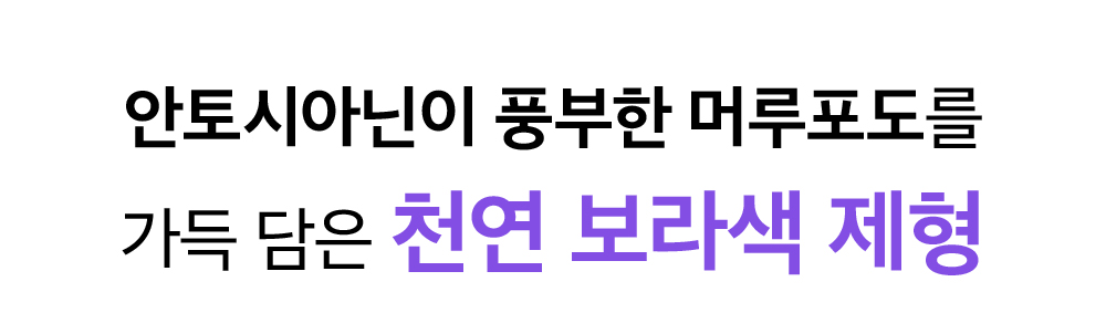 sungboon editor vitamin C concentrated ampoule