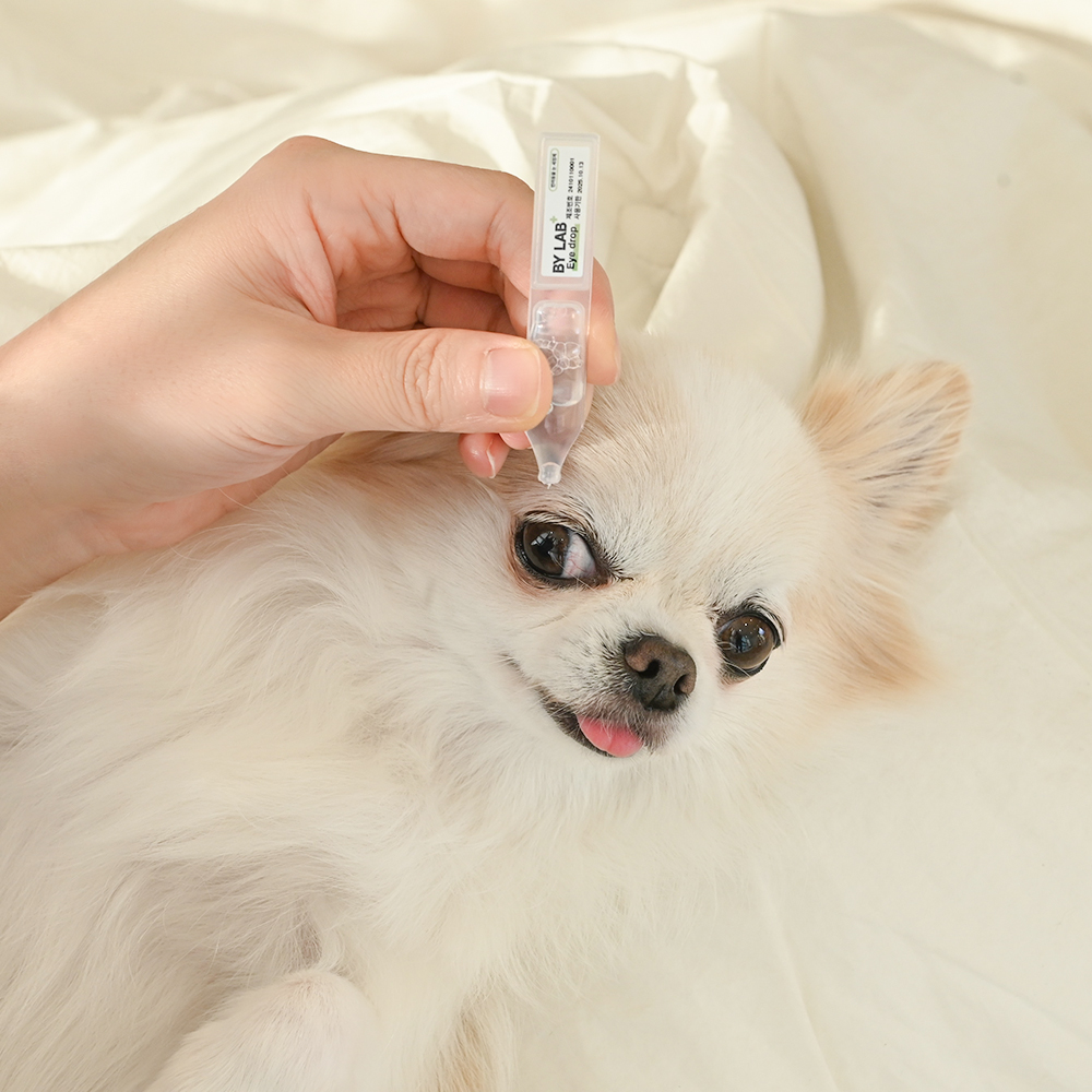 바이랩 아이드롭 강아지 인공 눈물 눈물자국 냄새 눈꼽 제거 눈세정제 20ml, 1개