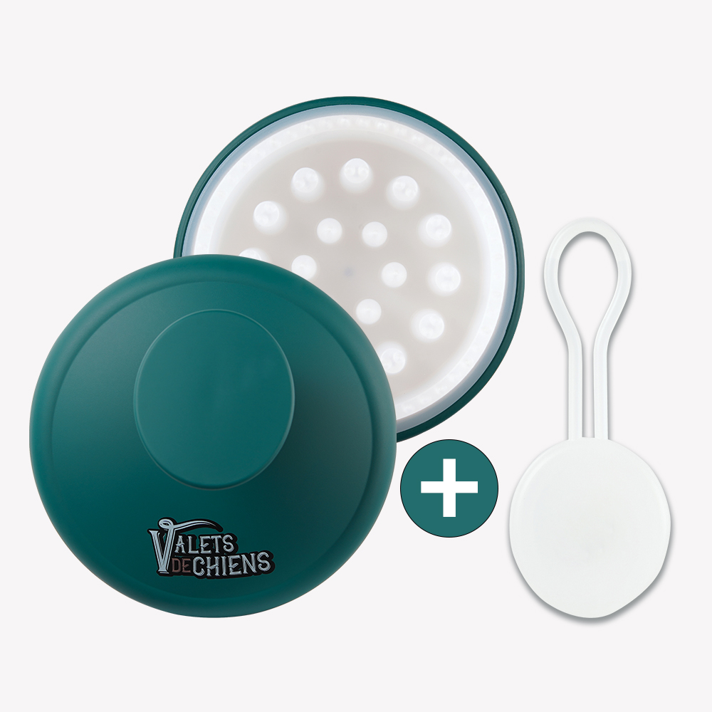 발레드샹 프리미엄 3 in 1 멀티 애견브러쉬