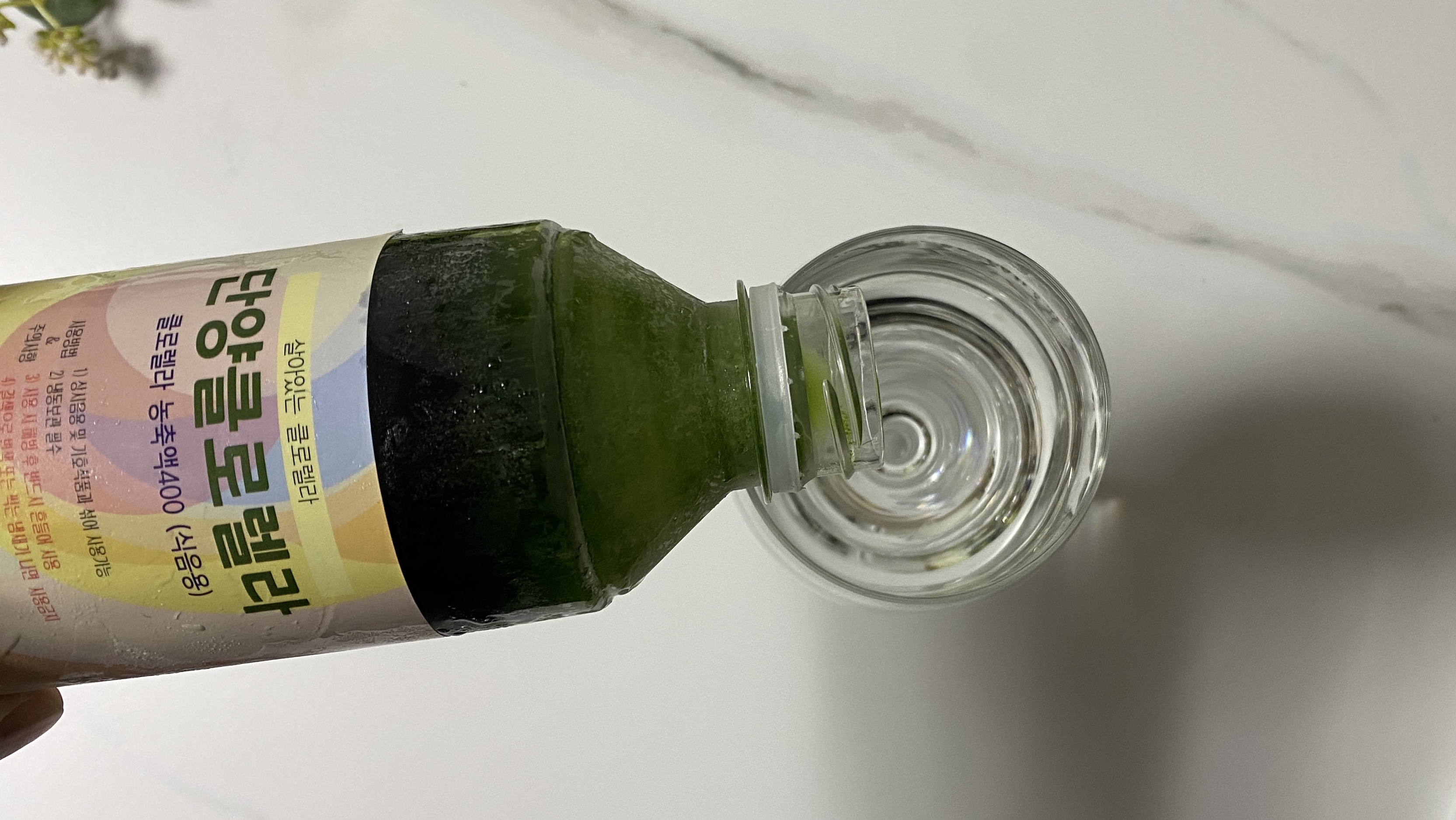 살아있는 클로렐라 물 농축액 400ml 생수 혼용 20리터 분량 농축액 - 상세 이미지 4