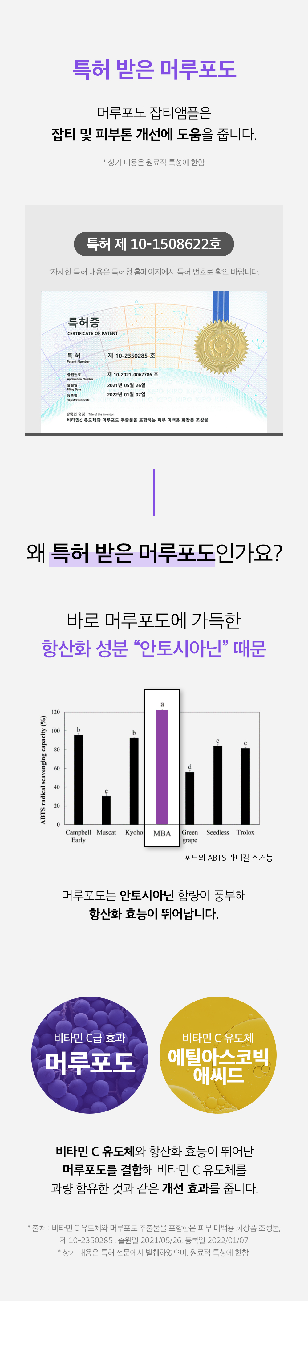 sungboon editor vitamin C concentrated ampoule