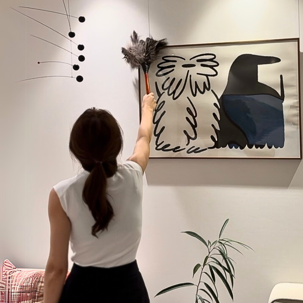 레데커 타조털 먼지털이개 블랙 50cm - 상세 이미지 2
