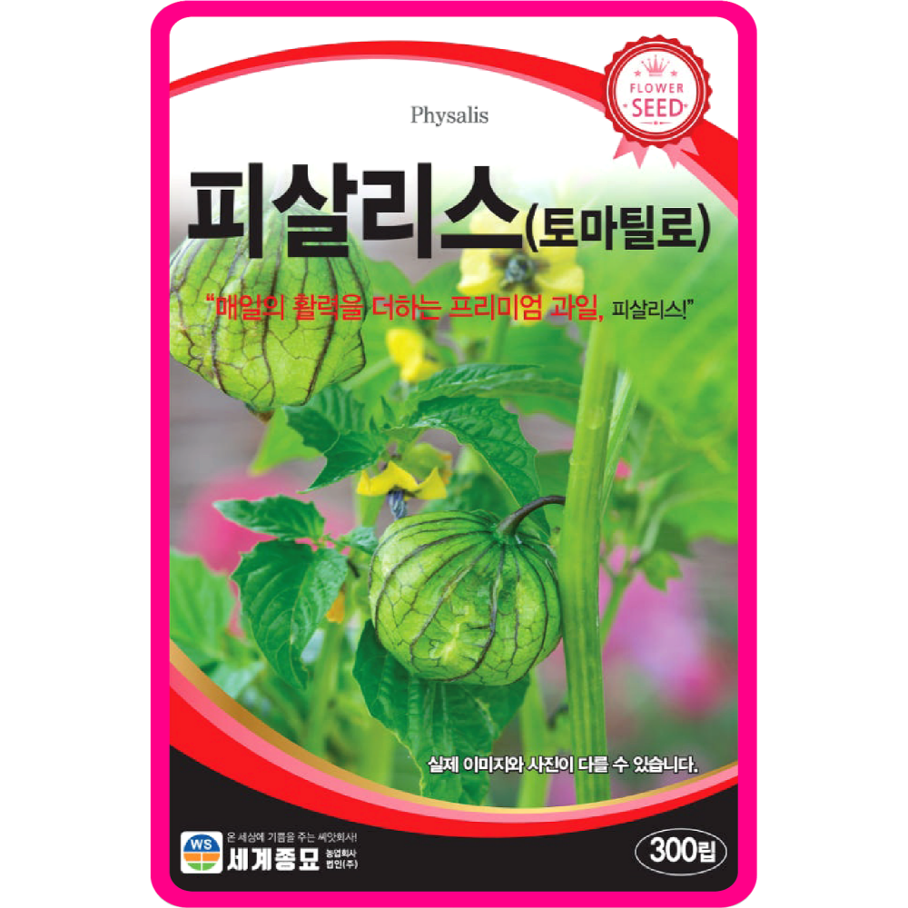 토마틸로 씨앗, 세계종묘, 땅꽈리, 씨앗파종, 텃밭
