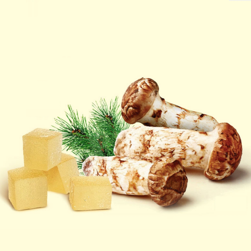 군것질거리 노인 간식 송이 버섯 젤리 자연산 봉화 할아버지 할머니 호박 잴리 사무실 캔틴