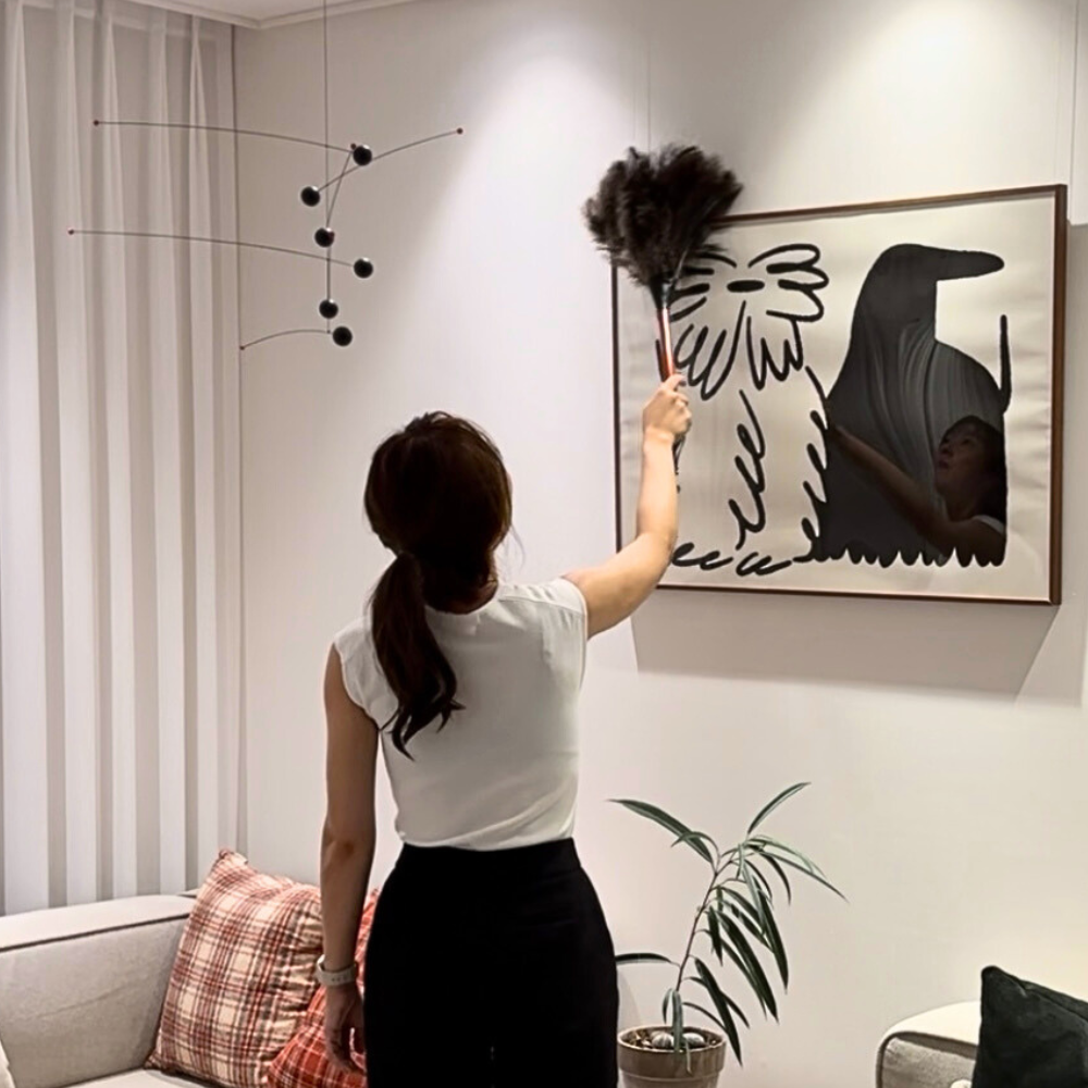 레데커 타조털 먼지털이개 블랙 50cm