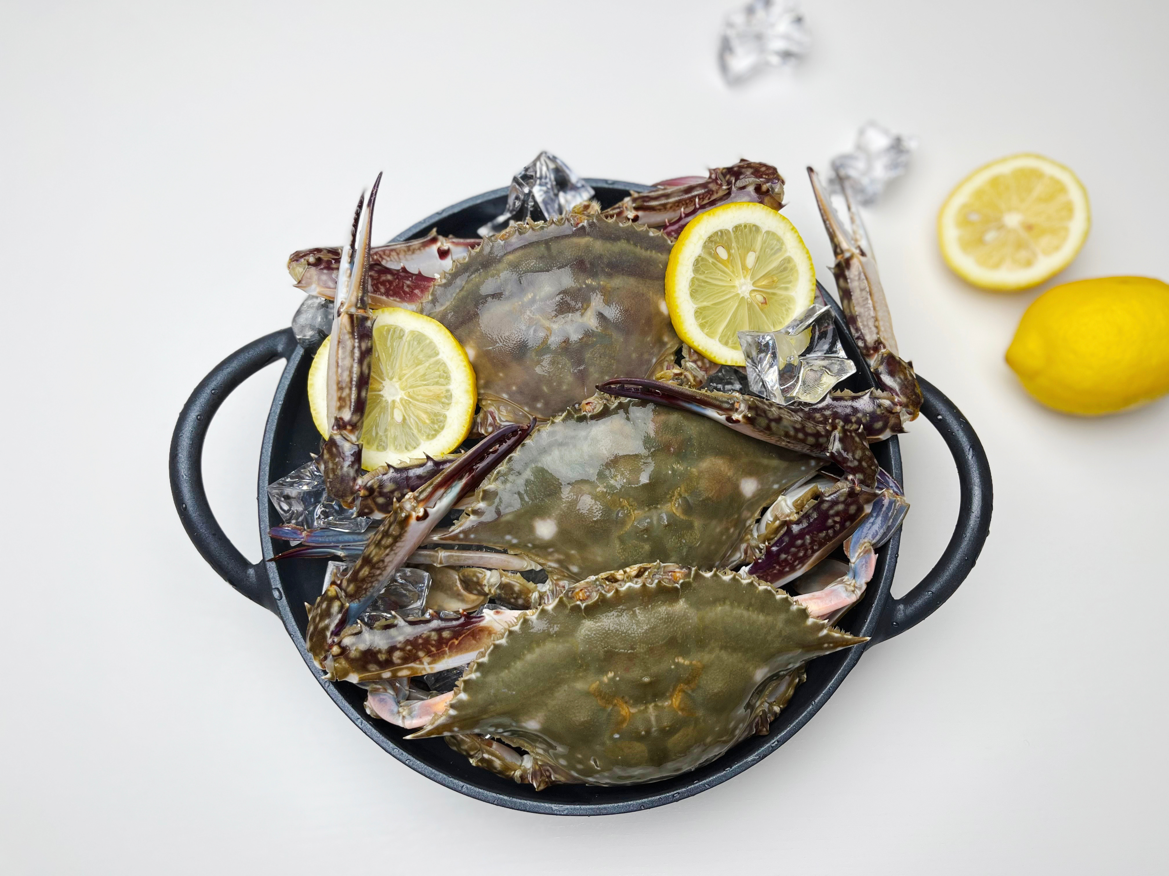 K꽃게 어부가 직접 판매하는 숫꽃게 5kg 가을 급냉 - 상세 이미지 2