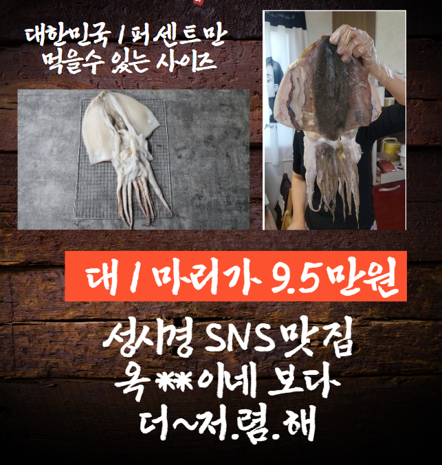 반건조 갑오징어 특대 왕특대 선택가능 업소용 호프집 인기상품 - 상세 이미지 3
